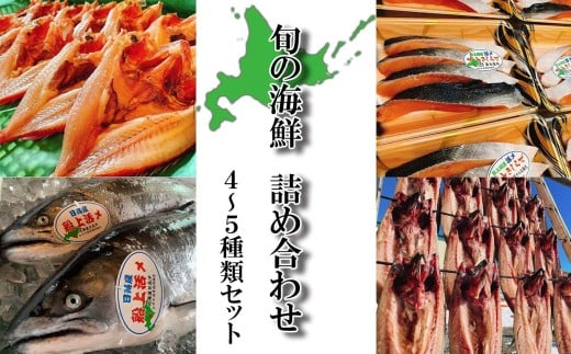 北海道産 旬 の 魚介 4～5種 お魚 魚 旬の魚 お楽しみ セット 詰め合わせ