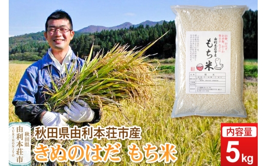《予約受付》令和7年産【もち米】 5kg 秋田県由利本荘市産 きぬのはだ 精米 5kg 2359215 - 秋田県由利本荘市