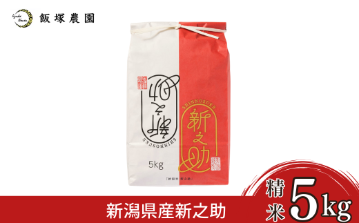 新潟県産新之助5kg 令和7年産 新之助 2025年産 新之助 白米 [飯塚農園]  【014S157】