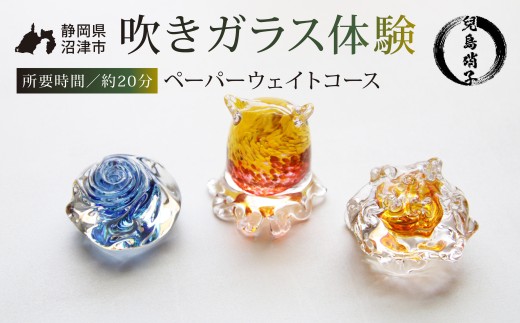 吹きガラス 体験 ペーパーウェイト コース 吹き ガラス 重石 オリジナル 作品 グラス 兒島硝子 ガラス体験 吹きガラス体験 体験型返礼品 静岡 沼津