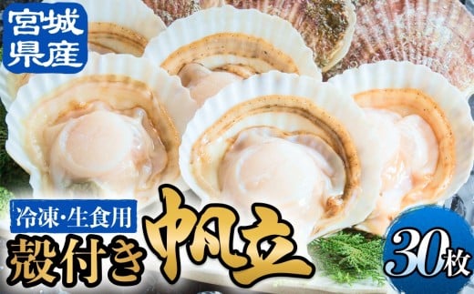 【冷凍・生食用】 殻付き帆立 30枚