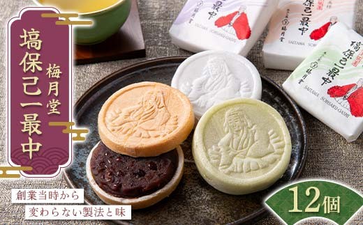 梅月堂 塙保己一 最中3種12個 化粧箱入り 和菓子 お菓子 菓子 最中 もなか モナカ 贈答 贈り物 プレゼント ギフト 家庭 自宅 埼玉県 本庄市 F5K-586
