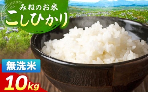 令和7年度産 こしひかり 無洗米 10kg| 無洗米  米 雑穀 お米 コメ 単一米 こしひかり コシヒカリ   山口 美祢 秋吉台