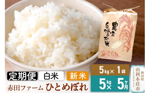 《5ヶ月定期便》令和7年産 【 白米 】 秋田県産ひとめぼれ5kg 1386758 - 秋田県由利本荘市