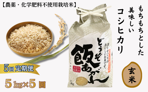 [定期便5回]もちもちとした美味しいコシヒカリ玄米[農薬・化学肥料不使用栽培米]5kg×5回(計25kg):C111-010