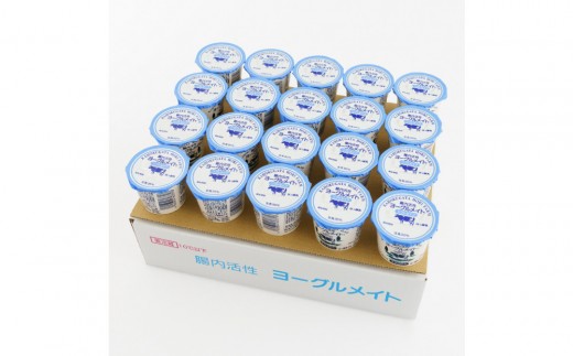 [ホリ乳業]腸内活性 ヨーグルメイト ソフトタイプ 20個入 ヨーグルト 菓子 デザート 腸内活性 乳飲料 健康食品 発酵食品 乳酸菌 腸内環境 健康管理 免疫力 朝食用 間食用 スイーツ ヘルシー 栄養価高い 低カロリー 無添加 石川 金沢 北陸 復興支援 復興応援