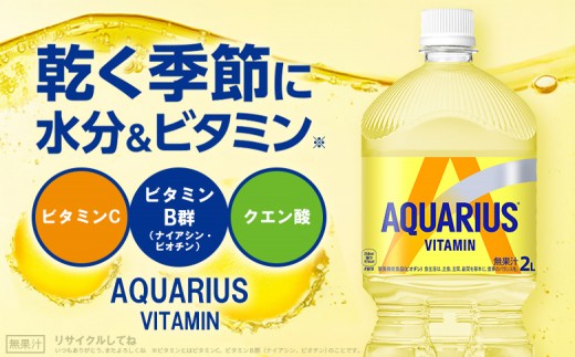 【定期便：全3回】アクエリアス ビタミン 2LPET×6本