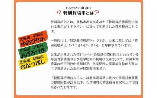 【2025年産】 北海道羽幌産 特別栽培米 ゆめぴりか5kg・ななつぼし5kgセット