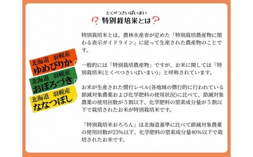 【2025年産】 北海道羽幌産 特別栽培米 ななつぼし5kg
