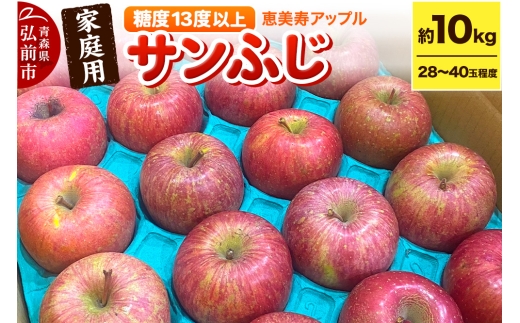【25年12月～発送】りんご 【糖度13度以上】サンふじ 約10kg 【家庭用】 青森県 フルーツ 果物