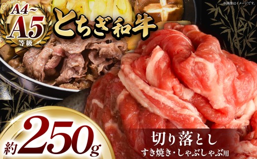 とちぎ和牛 すき焼き・しゃぶしゃぶ用 切り落とし 250g | 栃木県共通返礼品 ご褒美 プレゼント 贈答 おいしい 和牛 肉 おにく 特別 人気 お取り寄せ 栃木県 真岡市
