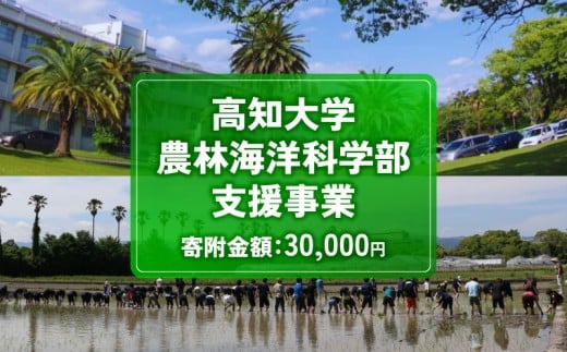 【返礼品なし/30,000円】 高知大学 農林海洋科学部 支援事業(教育・研究・地域貢献を支える寄附) | 実習・フィールドワーク支援 研究支援  地域貢献活動支援 人材育成 高知県 南国市 高知大  2342678 - 高知県南国市