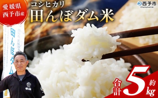 新米＜令和7年産 愛媛県西予市産 コシヒカリ 田んぼダム米 5kg＞ 5キロ こしひかり 西予応援米 宇和米 お米 コメ こめ 白米 精米 米 国産 愛媛県産 宇和町産 和みファーム 愛媛県 西予市【常温】『2025年10月・11月頃から順次発送予定』