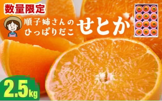 KU303 【高評価農園の限定温室せとか】＜先行予約＞ 溢れ出る果汁！順子姉さんのひっぱりだこ愛情温室せとか 2.5kg