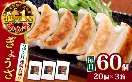 [全3回定期便]熊本県産 あか牛 ぎょうざ 20個×3箱 熊本[有限会社 三協畜産] [AYCQ089]
