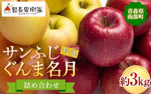 サンふじ・ぐんま名月 詰め合わせ 特選(大玉) 約3kg [留長果樹園]青森りんご りんご リンゴ 林檎 アップル ふじ ぐんま名月 フルーツ 果物 くだもの 2種 セット あおもり 青森 青森県 南部町 三戸 南部 F21U-051