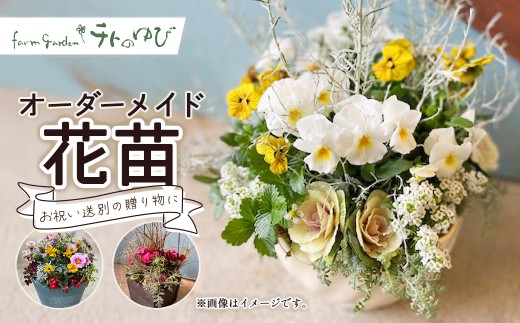 オーダーメイド型（花苗） 花 寄せ鉢 贈り物 オーダーメイド プレゼント 記念日 お祝い 鳥取県 倉吉市