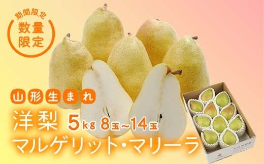 《先行予約 2026年度発送》【王将果樹園】洋梨マルゲリット・マリーラ 5kg なし ナシ 梨 デザート フルーツ 果物 くだもの 果実 食品 山形県 FSY-2568 266231 - 山形県山形県庁