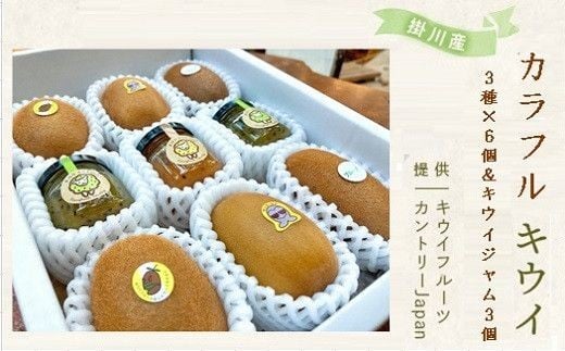 掛川産 カラフルキウイ 3種6個と キウイミニジャム 3個セット キウイフルーツカントリー　5884【1652676】 2228927 - 静岡県掛川市