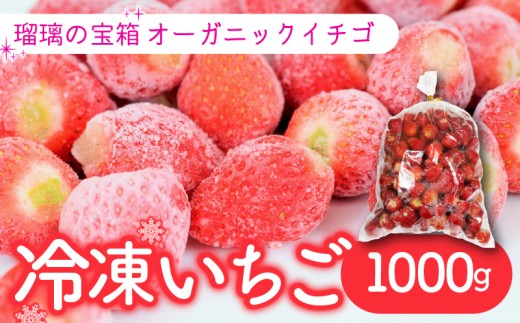 【植物系有機肥料の冷凍いちご】 瑠璃の宝箱 冷凍いちご 計1000g 有機 有機JAS 植物系有機肥料 イチゴ 苺 オーガニックイチゴ ストロベリー ベリー ヨーグルト スムージー フルーツ ケーキ ジャム デザート 果物 甘い 国産 ブランド 新鮮 産地 直送 フレッシュ 人気 おすすめ ふるさと納税 京都 八幡 八幡市 かみむら農園