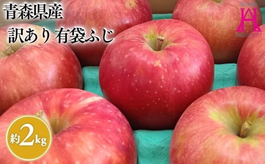 5月 クール便発送【訳あり】家庭用有袋ふじ約2㎏【原田青果】