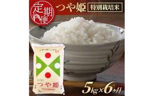 ≪6ヶ月定期便≫ つや姫 5kg×6ヶ月連続 計30kg 特別栽培米 山形県産 毎月下旬にお届け 東北 酒田市 庄内地方 精米 白米 ブランド米 ごはん ご飯 連続定期便 庄内米穀 SN0020