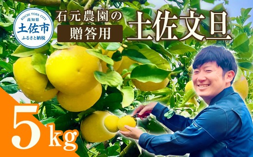 石元農園の土佐文旦 贈答用 約5キロ(7~12玉) 期間限定 先行予約 土佐文旦 文旦 5kg ブンタン ぶんたん 果物 柑橘 フルーツ 高知県産 お取り寄せグルメ ギフト 贈答 贈り物 美味しい