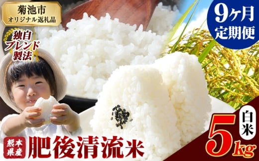 【9ヶ月定期便】熊本県産 肥後清流米 白米 5kg 熊本県産 ふるさと納税 精米 米 こめ ふるさとのうぜい コメ お米 おこめ《1月から出荷開始》 2369450 - 熊本県菊池市