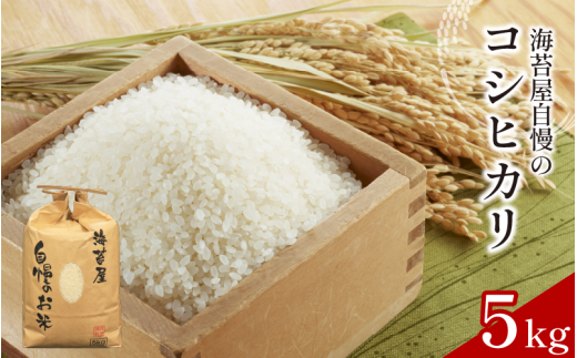 お米 コシヒカリ 5kg 令和7年産 米 こめ 海苔屋の米 ご飯 ごはん おにぎり 白米 食品 備蓄 備蓄米 保存 防災 ギフト 贈答 プレゼント お取り寄せ グルメ 送料無料 徳島県 阿波市 三興海苔株式会社