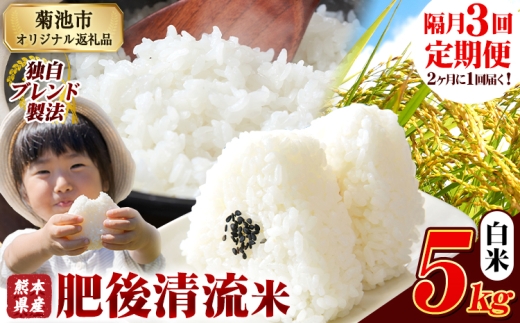 【隔月3回定期便】熊本県産 肥後清流米 白米 5kg 熊本県産 ふるさと納税 精米 米 こめ ふるさとのうぜい コメ お米 おこめ《1月から出荷開始》 2369458 - 熊本県菊池市