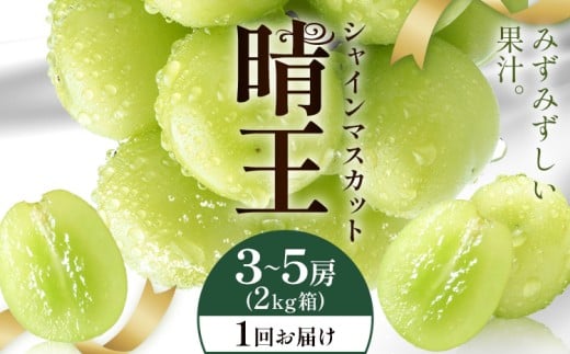 【2026年発送先行予約】シャインマスカット 晴王 1回お届け 3-5房(2kg箱) シャイン マスカット《2026年9月中旬-10月中旬頃出荷予定》 晴レ乃青果(岡山中央卸売市場店(富士紙工有限会社)) 送料無料 岡山県 浅口市 フルーツ 果物 岡山県産【配送不可地域あり】