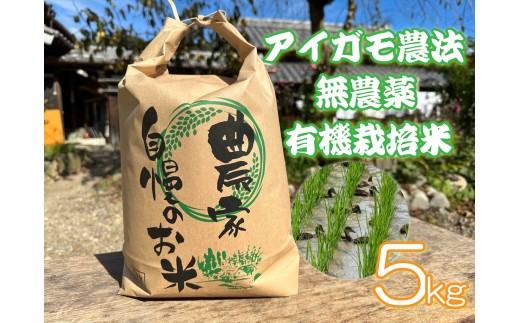 アイガモ農法で栽培した 無農薬 有機栽培米５kg お米 精米 こしひかり 兵庫県 多可町 ひのきもとさん [800]