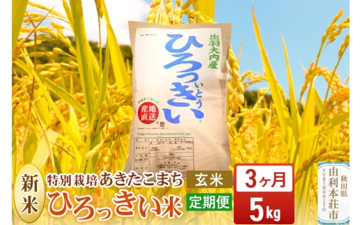 《定期便3ヶ月》【玄米】 秋田県産 あきたこまち 5kg 令和7年産 特別栽培米 ひろっきい米 1422137 - 秋田県由利本荘市