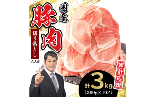 家計応援!国産 豚肉 計3kg!(300g×10P) 豚 切り落とし 小分けで便利【1658904】 2248132 - 岩手県宮古市