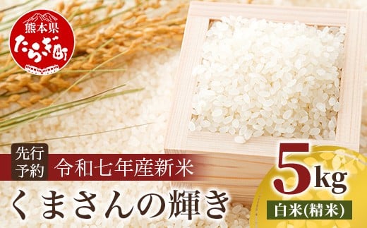 令和7年産新米【白米】 くまさんの輝き 5kg (令和7年10月中旬より順次発送) 新米 熊本県 多良木町 お米 5キロ 米 白米 精米 107-0701-h 2164024 - 熊本県多良木町