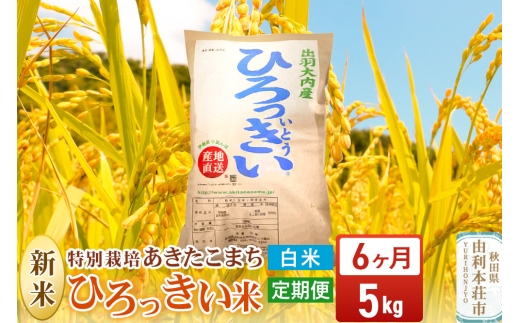 《定期便6ヶ月》【白米】 秋田県産 あきたこまち 5kg 令和7年産 特別栽培米 ひろっきい米 1422134 - 秋田県由利本荘市