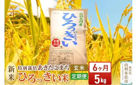 《定期便6ヶ月》【玄米】 秋田県産 あきたこまち 5kg 令和7年産 特別栽培米 ひろっきい米 1422138 - 秋田県由利本荘市