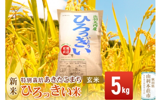 【玄米】 秋田県産 あきたこまち 5kg 令和7年産 特別栽培米 ひろっきい米 239831 - 秋田県由利本荘市
