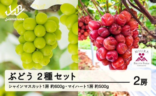 《先行予約》2026年 山形県山辺町産 マイハートと特選シャインマスカットセット  2026年10月上旬から順次発送 F21A-241 570244 - 山形県山辺町
