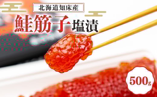 ＜北海道知床産＞鮭筋子(塩漬) 500g_ すじこ 筋子 スジコ 鮭 塩漬け 海鮮 魚介 魚卵 人気 美味しい おかず 【1213308】 1072621 - 北海道斜里町