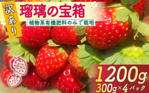 【先行予約】 【植物系有機肥料のいちご】 訳あり いちご 計1200g 300g×4パック 瑠璃の宝箱 オーガニックイチゴ 有機 有機JAS 植物系有機肥料 イチゴ 苺 オーガニックイチゴ ストロベリー ベリー フルーツ ケーキ ジャム デザート 果物 甘い 国産 ブランド 新鮮 産地 直送 フレッシュ 人気 おすすめ ふるさと納税 京都 八幡 八幡市 かみむら農園