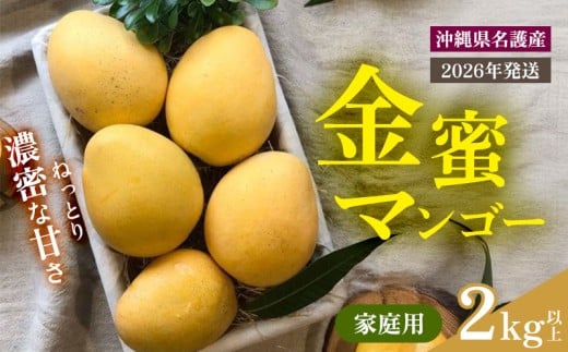 【2026年 先行予約 数量限定】金蜜マンゴー 家庭用 2kg以上 家庭用 先行予約 沖縄 甘味 糖度 濃厚 おいしい お土産 まんごー きんみつ ギフト プレゼント 果実 くだもの 果物 ふるさと納税 送料無料 トロピカル 名護市 フルーツ 1255448 - 沖縄県名護市