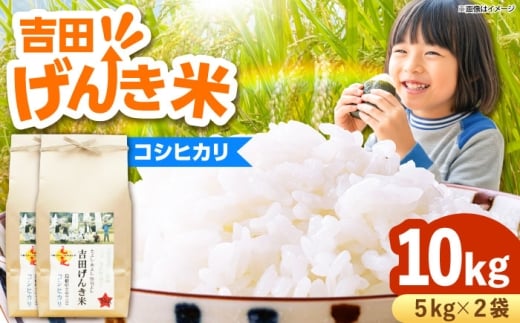 新米 米 白米 コシヒカリ 10kg