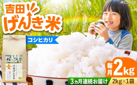 新米 米 白米 コシヒカリ 定期便