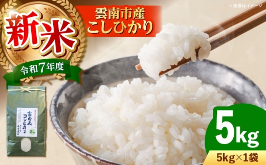 米 5kg 令和7年産 R7年産 コシヒカリ 島根 雲南