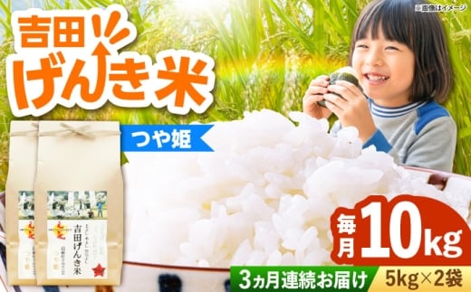 白米 おこめ げんき米 新米 定期便 つや姫 ごはん お弁当 国産 おいしい 