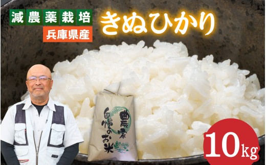 兵庫県佐用町で育てたきぬひかり 10kg ／兵庫県産 きぬひかり 減農薬米 精米 お米 シルク 粘り 甘み つやつや あっさり 新鮮 おにぎり 自然の力 自然豊か ブランド米 新米 1483066 - 兵庫県兵庫県庁