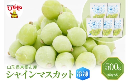 【瞬間冷凍】東根市産 シャインマスカット 100g×5袋 東根農産センター提供 hi027-245 566018 - 山形県東根市