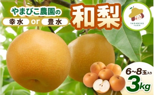 【先行予約】和梨 3kg (3L～5Lサイズ) 6~8玉入り【豊水梨】坂井北部丘陵地でたっぷり潮風を浴びて育ったやまびこ農園の和梨 【2026年9月上旬～9月下旬発送】 【梨 なし フルーツ 甘い みずみずしい 果実 果物 新鮮 お土産 贈り物 旬の果物 産地直送】 [A-21903_02]