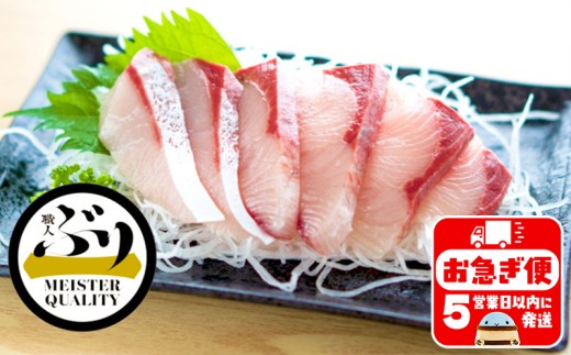 B2-4767／【鹿児島産ぶり】冷凍・ぶり皮無ポーション（背腹計４ｐ）